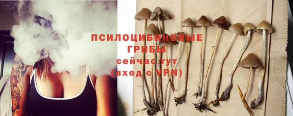 круглые Вяземский