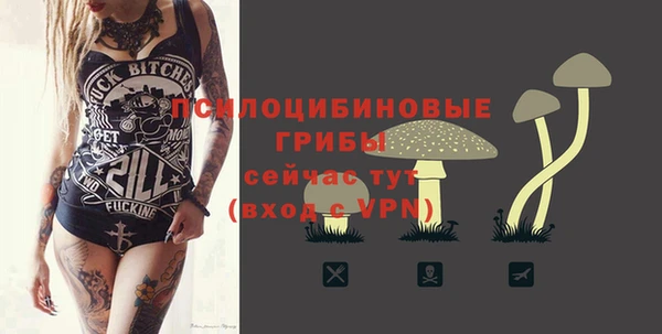 спиды Вязники
