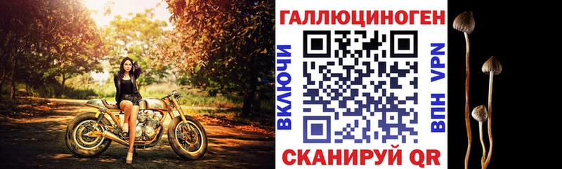 darknet какой сайт  Шарья  Галлюциногенные грибы GOLDEN TEACHER 